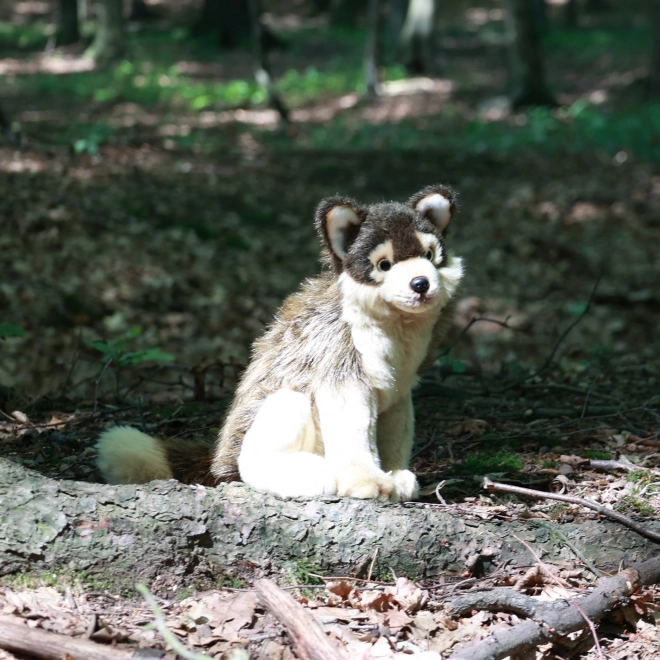 Rappa Pluchen Zittende Wolf 28 cm ECO-VRIENDELIJK