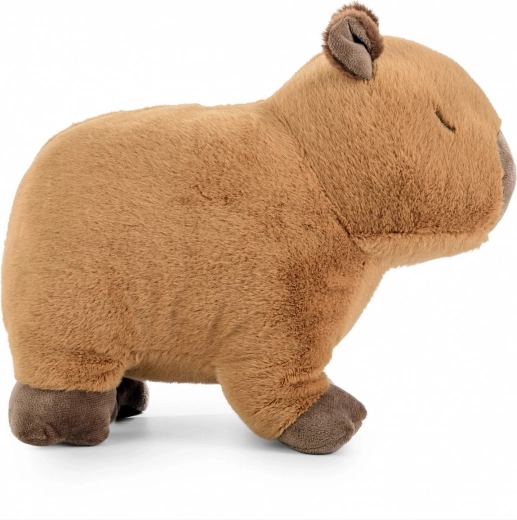 Natuurlijk, rustgevend design