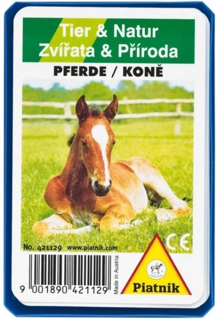 Quartet – Chevaux dans une boîte en plastique