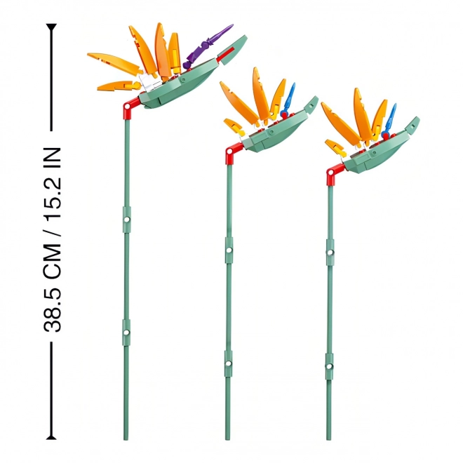 Sluban Flowers Strelitzia Reginae