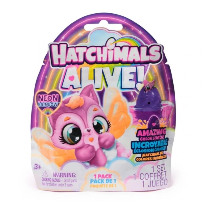 Hatchimals Neonzucht Regenbogen