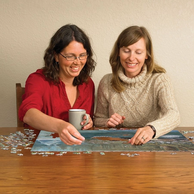 Puzzel vissen in de lucht 1000 stukjes