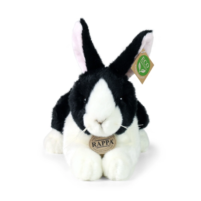 Collection exclusive RAPPA