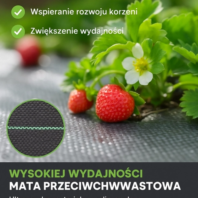 zwarte agrotkanina 1,1x100m UV 135g tegen onkruid + ankers