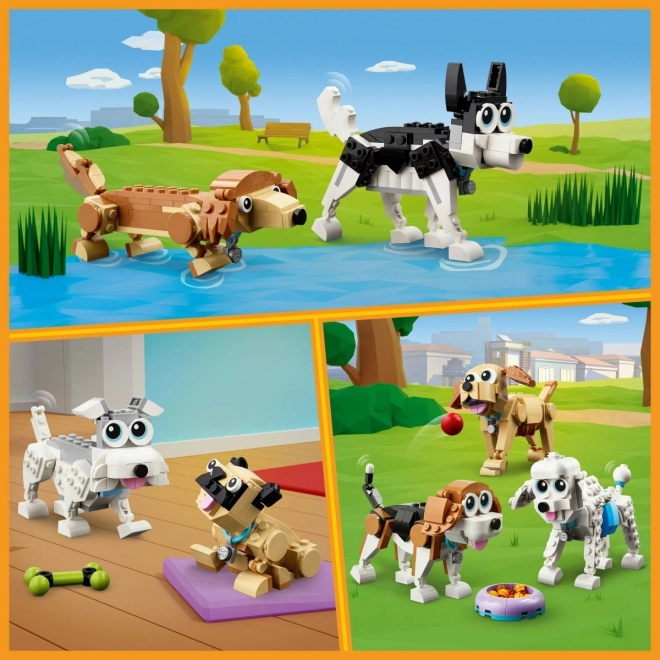 Three dog squads in one box