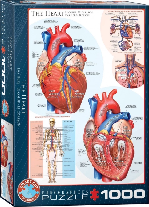 EUROGRAPHICS Puzzel Hart 1000 stukjes