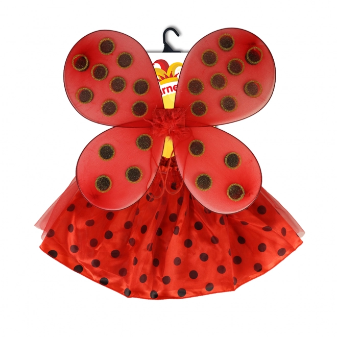 Kindercostuum tutu rok lieveheersbeestje met vleugels