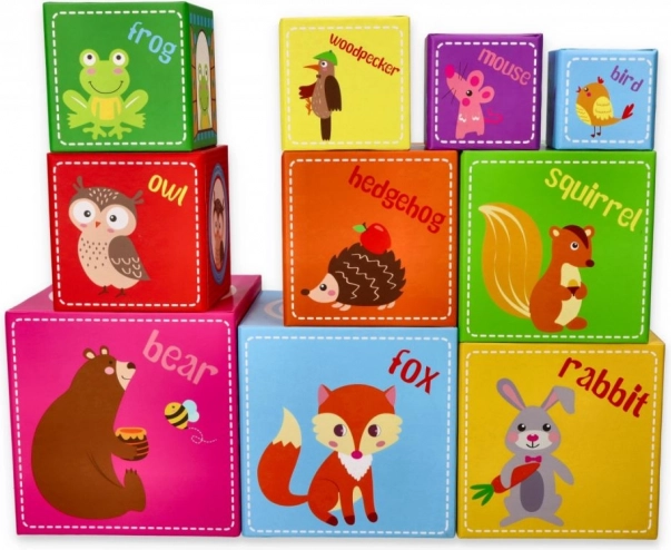 Colorful educational blocks