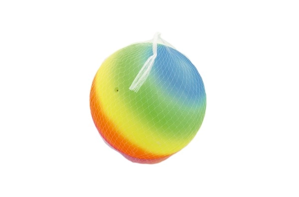 Practical net for easy carrying