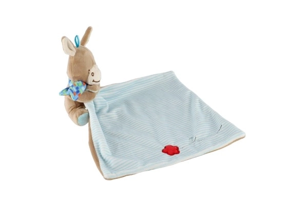 Pluche ezeltje met deken 25x25 cm