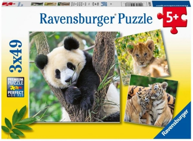 Panda, tijger en leeuw 3×49 stukjes