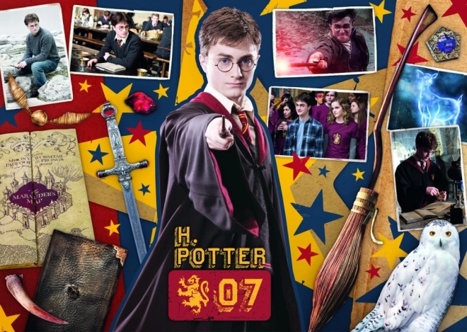 Trefl Puzzle Harry Potter: Ron, Hermione and Harry Set