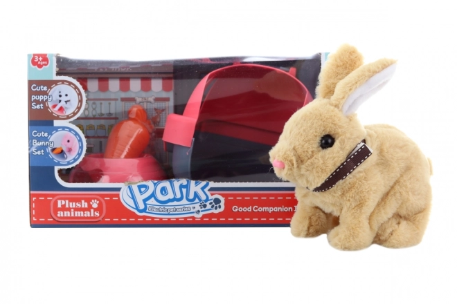 Batterie-Hase mit Transportbox