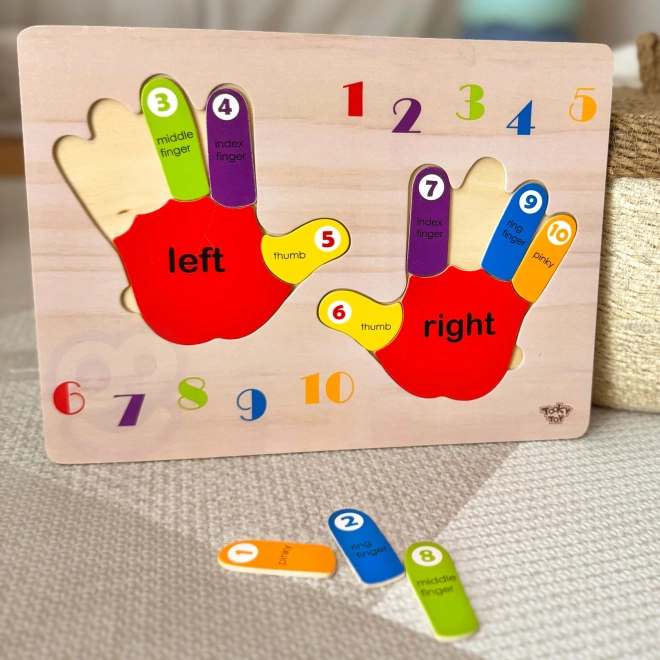 Educational Wooden Puzzle Hands Counting and Colors