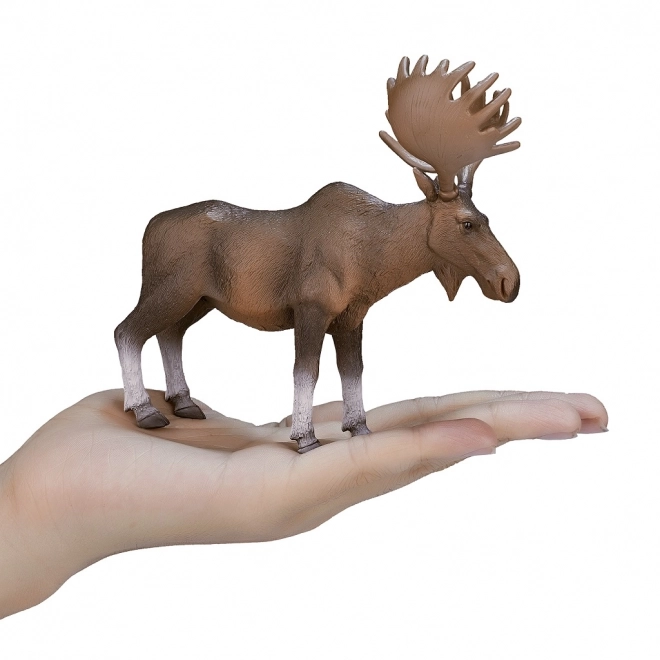 Europese eland figuur