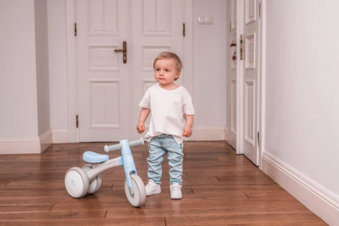 Kinder loopfiets MoMi Tedi roze