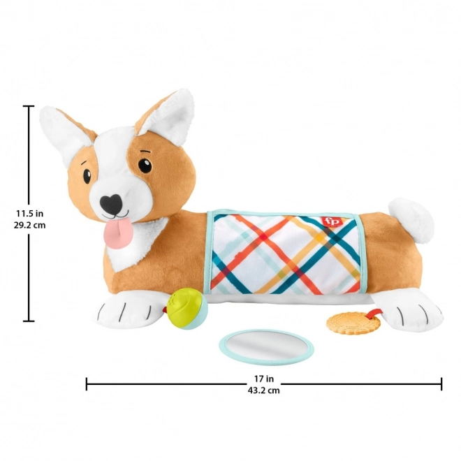 Bauchlage-Unterlage für Säuglinge von Fisher-Price