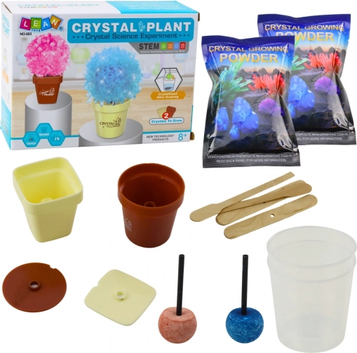 Kit éducatif Culture d’un arbre magique en cristal