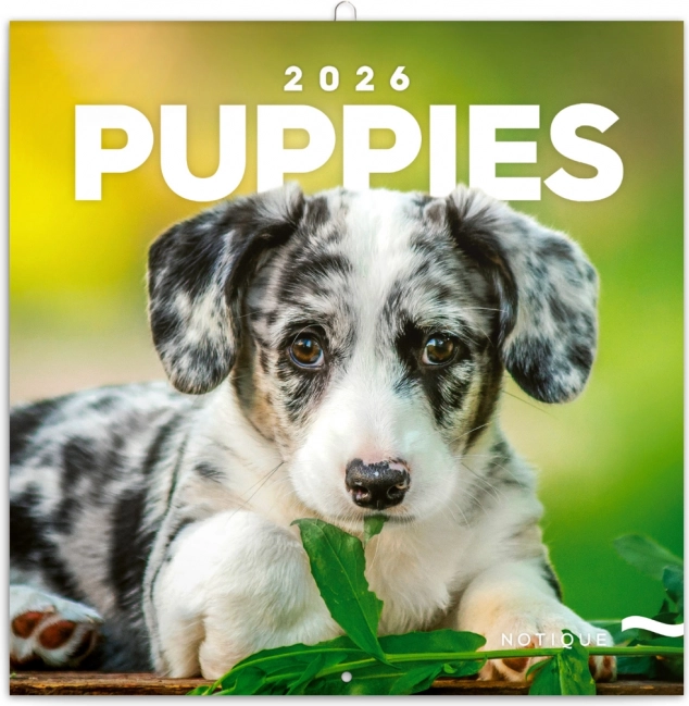 Notitiekalender Puppies 2026