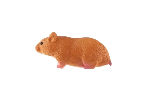 Cavia huishoudelijke zooted 6cm in zak