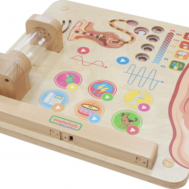 Tableau Éducatif Masterkidz Sens Visuels Montessori