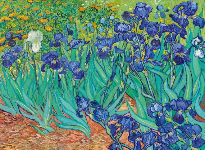 Puzzle Iris (1889) 3000 Teile BLUEBIRD