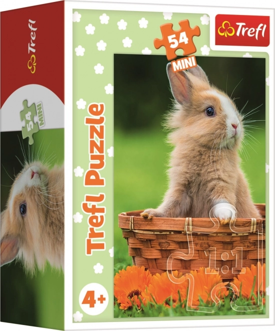 Trefl puzzel Schattige Dieren: konijntje in mandje 54 stukjes