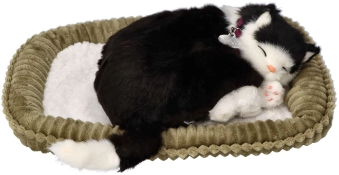 Interactief Speelgoed Perfect Petzzz Zwart-Witte Kat