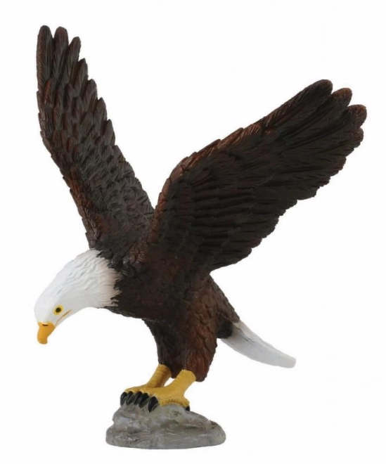 COLLECTA Witkopzeearend