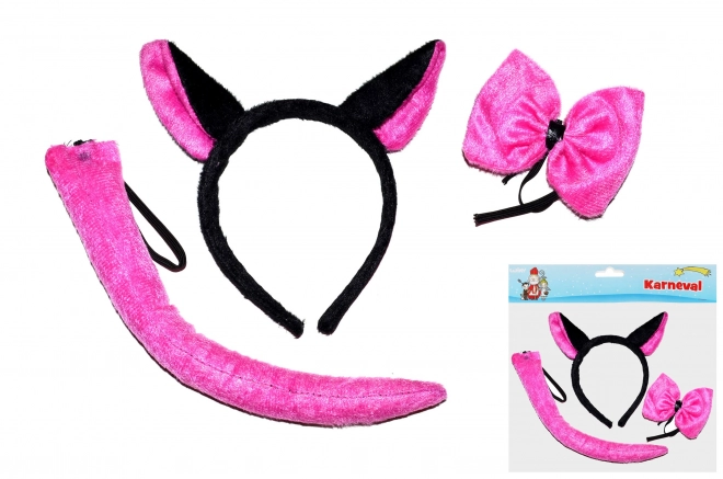 Carnavalsset - kat