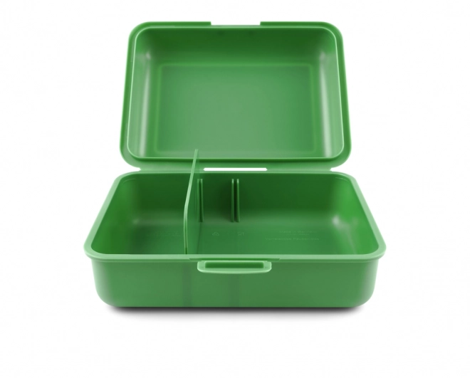 Lunchbox met Drakenmotief