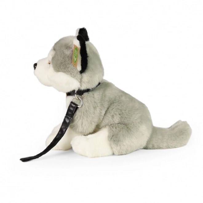Plüschhund Husky mit Leine 28 cm von Rappa