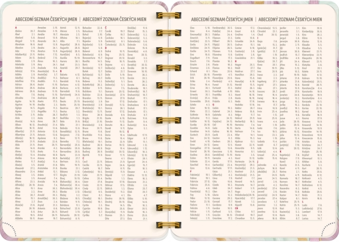Spiraalvormige 18-maandkalender Petito Roze Marmer 2025/2026