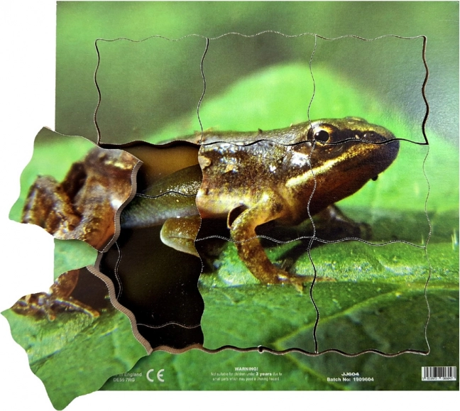 Just Jigsaws Grenouille et son cycle de vie - puzzle en bois à couches