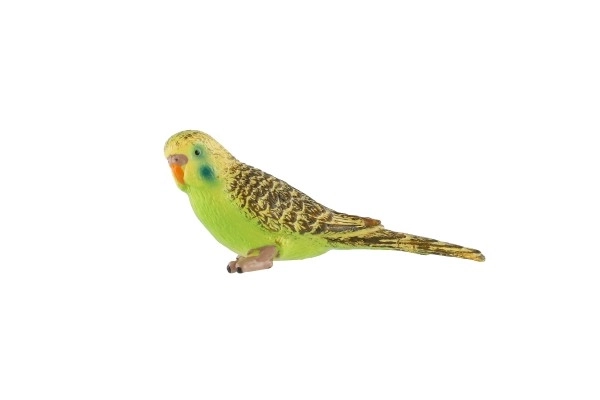 Parkiet met golvende veren zooted plastic 9cm in zakje