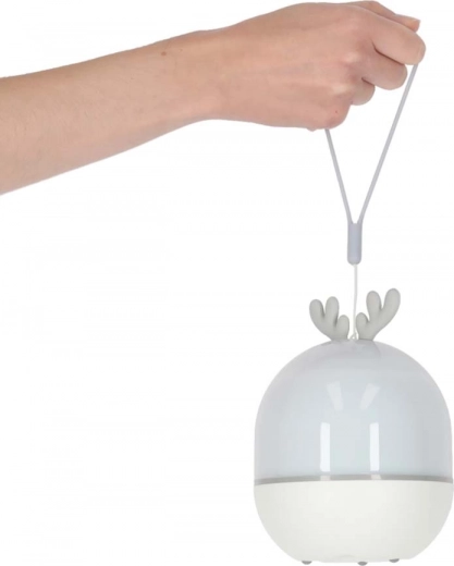 USB-opladen en draagbaar ontwerp