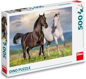 500 pieces for a pleasant challenge