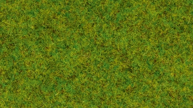 Noch statisch gras lentemeadow 2,5 mm