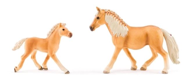 Houten stal voor 6 paarden