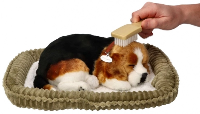 Ademend Puppy Beagle Perfect Petzzz