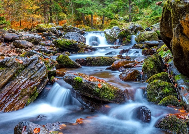 Puzzel Bosbeekje in de herfst 1000 stukjes