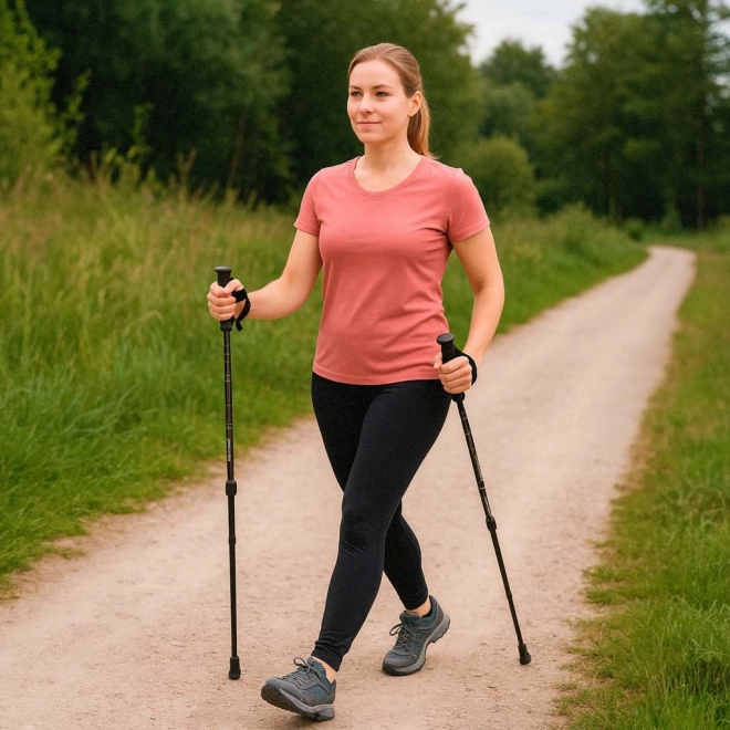 Opvouwbare trekkingstokken Nordic Walking, zwart, 2 stuks