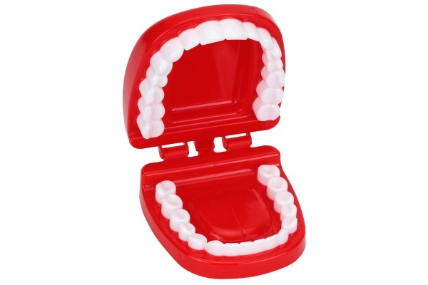 Realistic dentist role-play