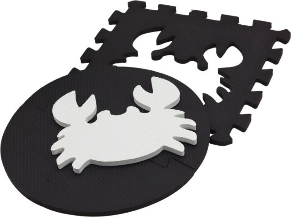 Educational tool for skill development