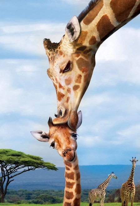 Eurographics Puzzle Save Our Planet: Giraffes XL 250 pieces