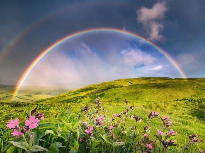 Puzzle 1500 pièces Arc-en-ciel au-dessus du pré