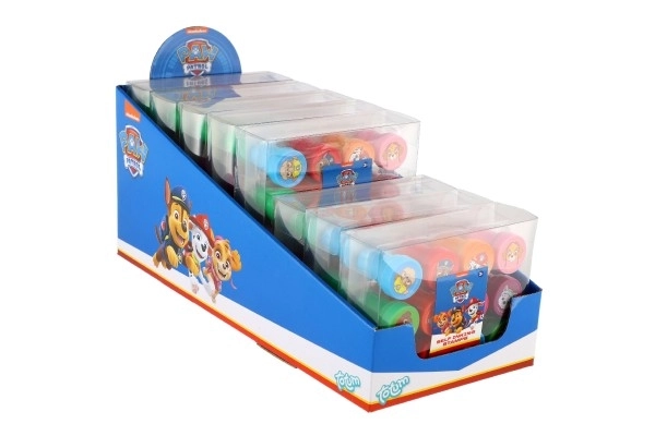 Zelfinktkussens 12 stuks plastic Paw Patrol in blister 12x9cm 10 stuks in doos