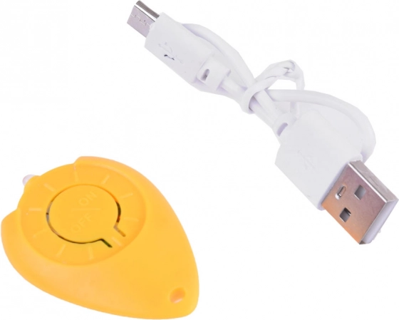 Recharge USB et allumage à distance