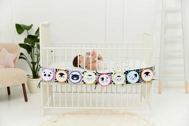 Sensory Book for Children GaGaGu Raccoon