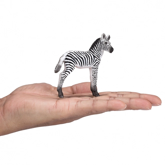 Realistische Zebra-Jungtierfigur